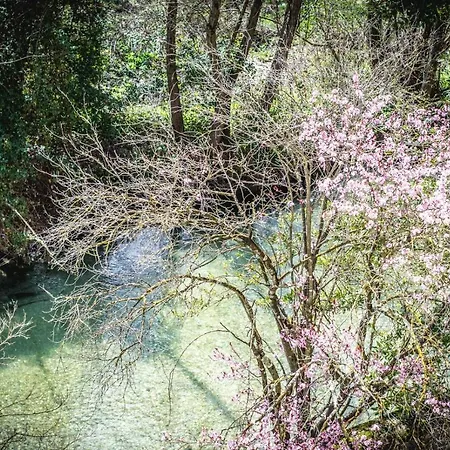 Aurora Bed and Breakfast Atina