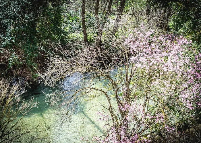 Aurora Bed and Breakfast Atina